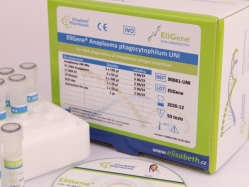 EliGene® Anaplasma phagocytophilum