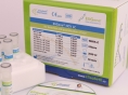 EliGene® HCV