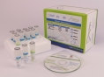 EliGene® Adenovirus