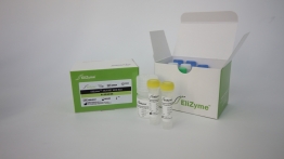 EliZyme HS FAST MIX Red