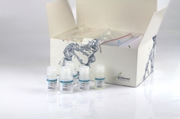 EliGene® FFPE Tissue DNA Isolation Kit