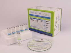 EliGene® Spondylitis HLA-B27 C6
