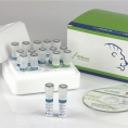 EliGene® COVID19 BASIC-A RT