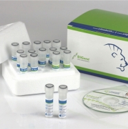 EliGene® COVID19 BASIC A RT