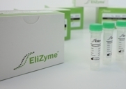 EliZyme Polymerase